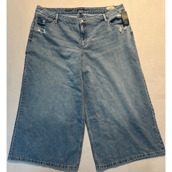 wild fable Denim - Wild Fable Womens Plus Size 24 Mid Rise Ultra Wide Leg Distressed Jeans Blue NWT